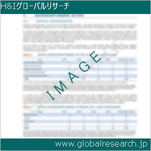 グローバルリサーチ調査レポートのイメージ
